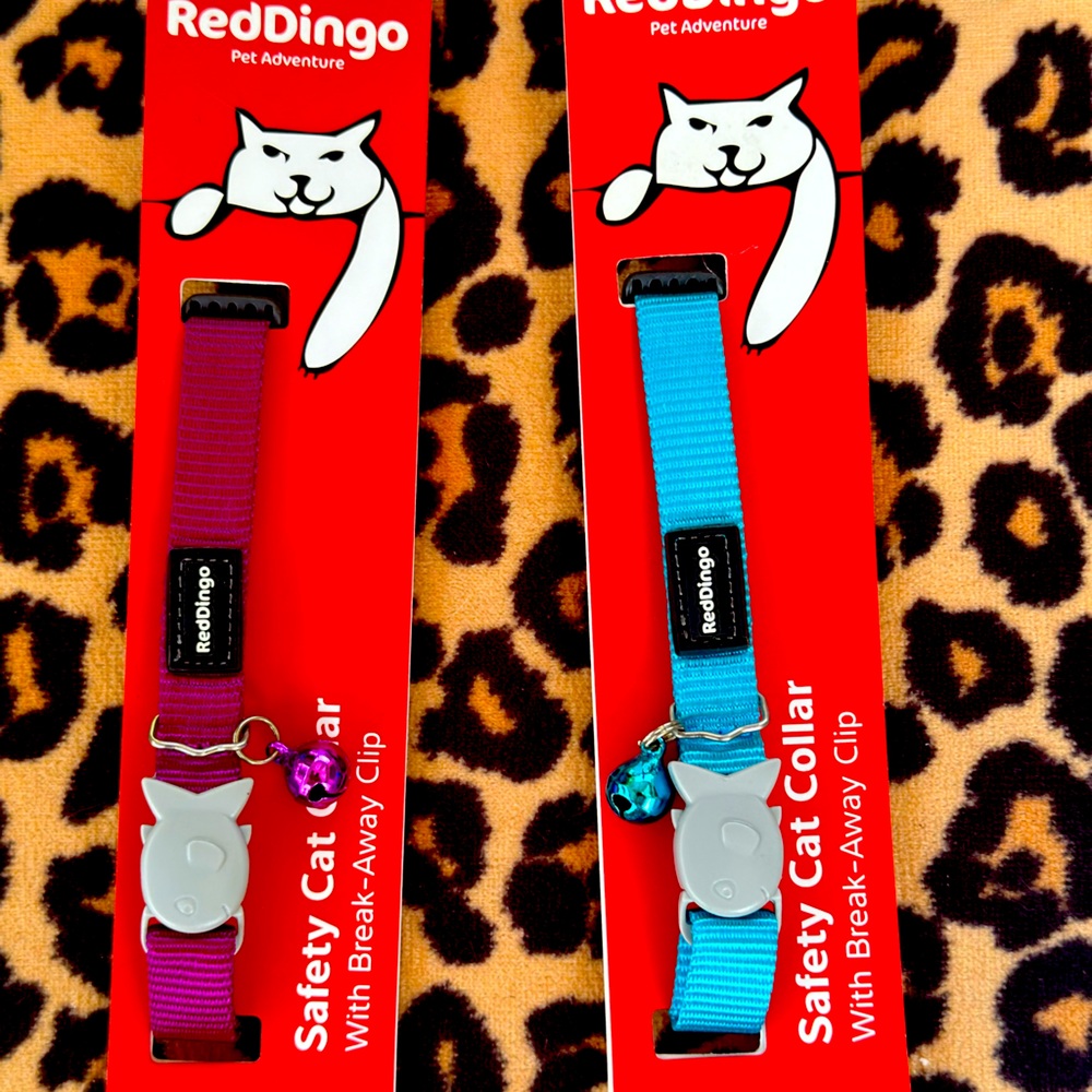 Red Dingo Cat collar